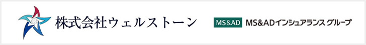 wellstone_banner_20250908.png